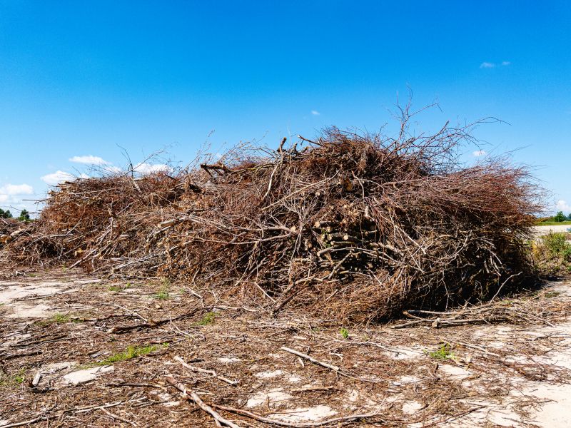 Budget-Smart Upgrades