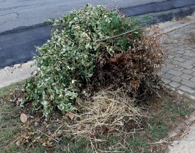 Debris Pile Removal Services Overview