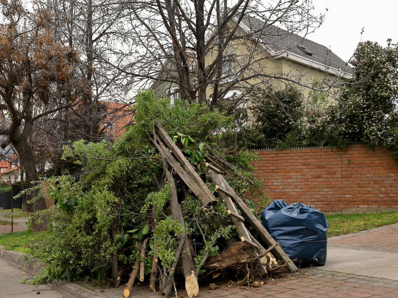 Debris Pile Removal Services
